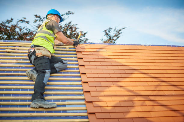 Best Chimney Flashing Repair  in Raubsville, PA